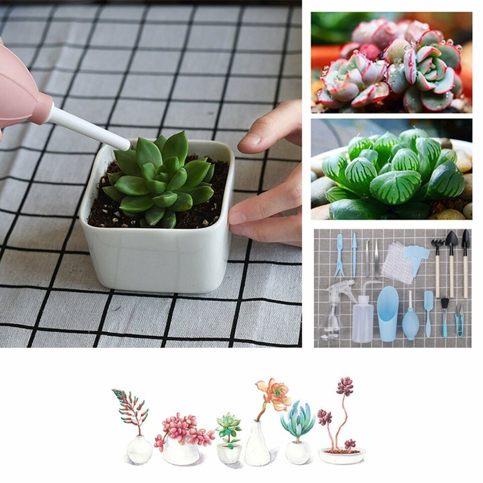 16X Mini Garden Hand Tools Transplanting Succulent Plant Gardening Tool Rake Set